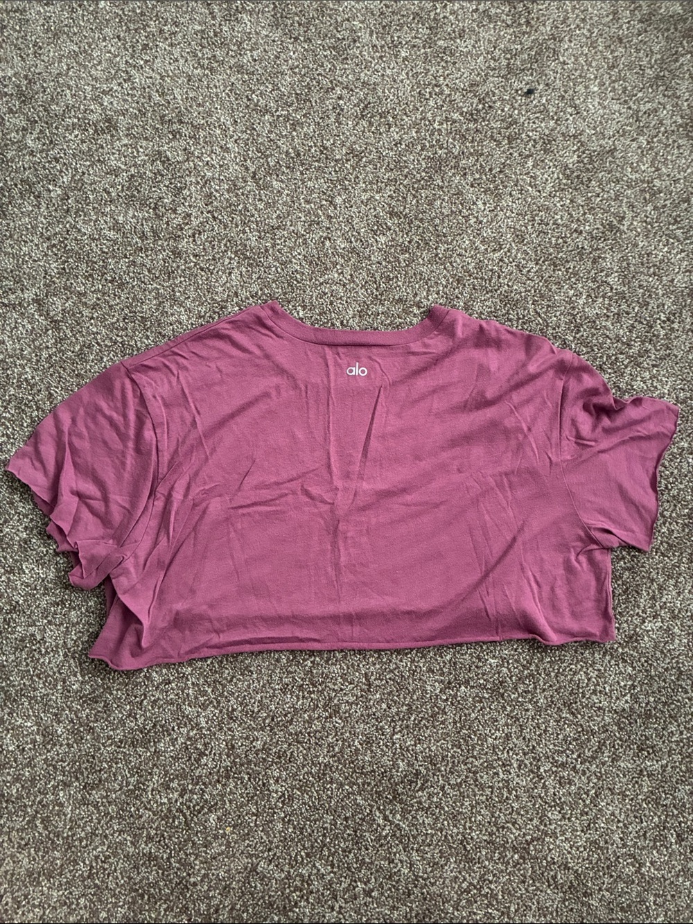 ALO Yoga Raw Hem Crop Top